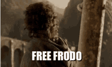 Frodo Lord GIF - Frodo Lord Of GIFs
