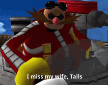 i miss my wife tails i miss her a lot sonic the hedgehog snapcube eggman