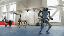GIF