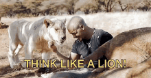 Think Like A Lion Act Like A Lion GIF