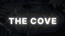 The Cove GIF - The Cove GIFs