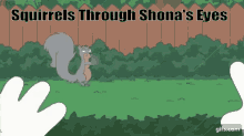 Squirrel Shona Tpopp GIF - Squirrel Shona Tpopp Middle Finger GIFs