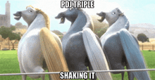three horses are standing next to each other with the caption pdj triple shaking it above them