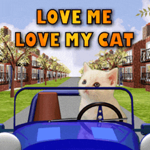 Love Me Love My Cat Love Me Love My Kitten GIF - Love Me Love My Cat Love Me Love My Kitten Cat Love GIFs
