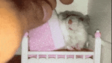 Rat Cute GIF - Rat Cute GIFs