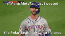 Mets Manic GIF - Mets Manic Dub GIFs