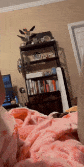 Bella Toy-delivery GIF - Bella Toy-delivery Multi-poodle-shitzu GIFs
