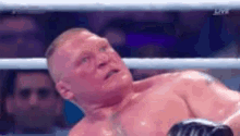 Brock Lesnar Motherfucker GIF - Brock Lesnar Motherfucker GIFs