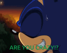 Sonic The Hedgehog Sonic X GIF - Sonic The Hedgehog Sonic Sonic X GIFs