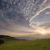 a sunset over a grassy field with a cloudy sky