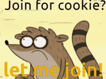 Join For Cookie Let Me Join GIF - Join For Cookie Let Me Join Coati GIFs