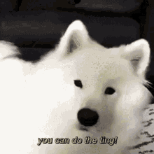 If Sometimes You Sad You Can Do The Thing GIF - If Sometimes You Sad You Can Do The Thing Give Treats GIFs
