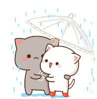 Rain Sticker - Rain Stickers