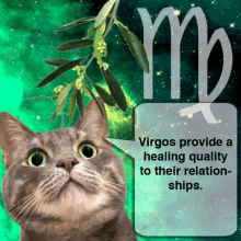 virgo healing quality cats
