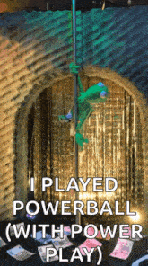 a picture of kermit the frog on a pole with the words i played powerball with power play