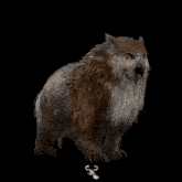 a pixel art of a lion with wings standing next to a scorpion on a black background .