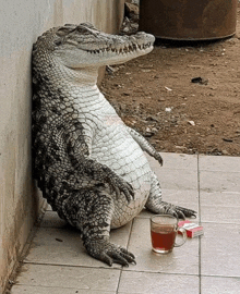 a crocodile leaning against a wall next to a cup of tea and a pack of cigarettes
