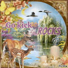a picture of deer with the words go kick rocks