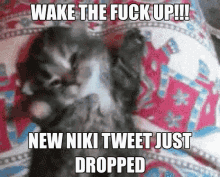 Niki Tweet GIF - Niki Tweet Niki Tweet GIFs
