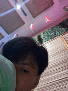 a man laying on a bed with a fish in the background