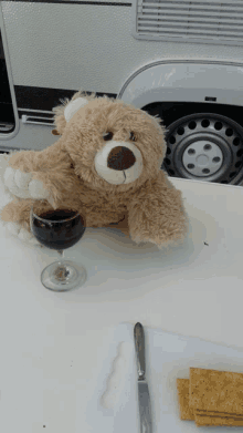 Bear Winel Lover GIF - Bear Winel Lover GIFs
