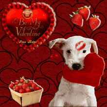 Be My Valentine Valentines Day Dog GIF - Be My Valentine Valentines Day Dog Happy Valentines Day Dog GIFs