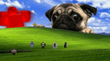 a pug dog is laying on top of a green hill