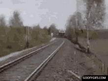 GIF
