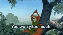 Disney GIF - Robin Hood You Worry To Much Calm Down GIFs