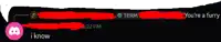 a screenshot of a discord conversation with the words " you 're a furry " on it