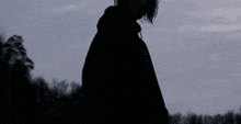 a silhouette of a man in a black jacket standing in front of trees .