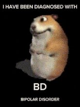 a picture of a hamster with the words i have been diagnosed with bd below it