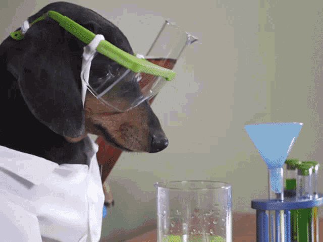 Oakley Sciencedog GIF - Oakley Sciencedog Oakleyscience - Discover & Share  GIFs