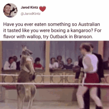 branson boxing kangaroo
