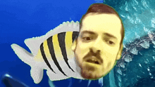 a fish with a man 's face on it swimming in the water