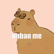 Capybara Unban GIF - Capybara Unban Unban Me GIFs