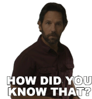 How Did You Know That Gary Grooberson Sticker - How Did You Know That Gary Grooberson Paul Rudd Stickers