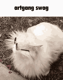 Swag Cat GIF - Swag Cat Art Gang GIFs