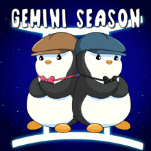 Gemini Gemini Season GIF