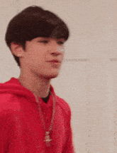 a young man in a red hoodie singing into a microphone
