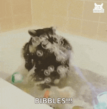 a raccoon is taking a bath in a bathtub covered in bubbles .