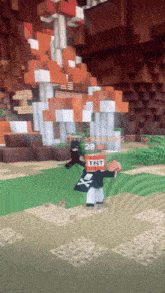 Offmeloser Tnttag GIF - Offmeloser Tnttag Hypixel GIFs