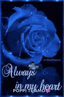 Blue Rose Always GIF - Blue Rose Rose Always GIFs