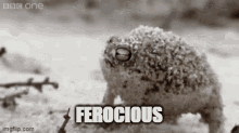 Ferocious Frog Battle Cry GIF - Ferocious Frog Ferocious Frog GIFs