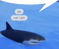 a shark is swimming in the water with a speech bubble that says pls can i win