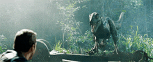 a man is looking at a dinosaur that is walking in the woods .
