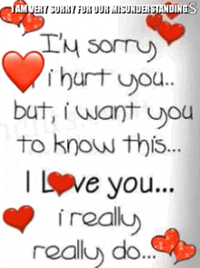 i am very sorry for our misunderstandings i hurt you but i want you to know this i love you i really do