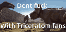 Triceratom Dinosaur GIF - Triceratom Dinosaur Funny GIFs