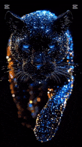 a black panther with blue eyes and the name polyanna