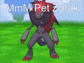 Pokemon Zoroark GIF - Pokemon Zoroark Pet GIFs
